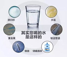 茂名市農(nóng)村地區(qū)水質(zhì)檢測(cè)指南 守護(hù)飲水安全，了解專業(yè)檢測(cè)單位