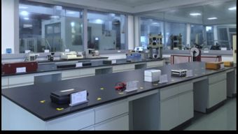 保一集團(tuán)檢測中心順利通過CNAS現(xiàn)場評(píng)審，助力飼料添加劑生產(chǎn)質(zhì)量提升